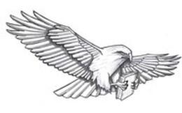 Black and white drawing of a hawk flying through the air